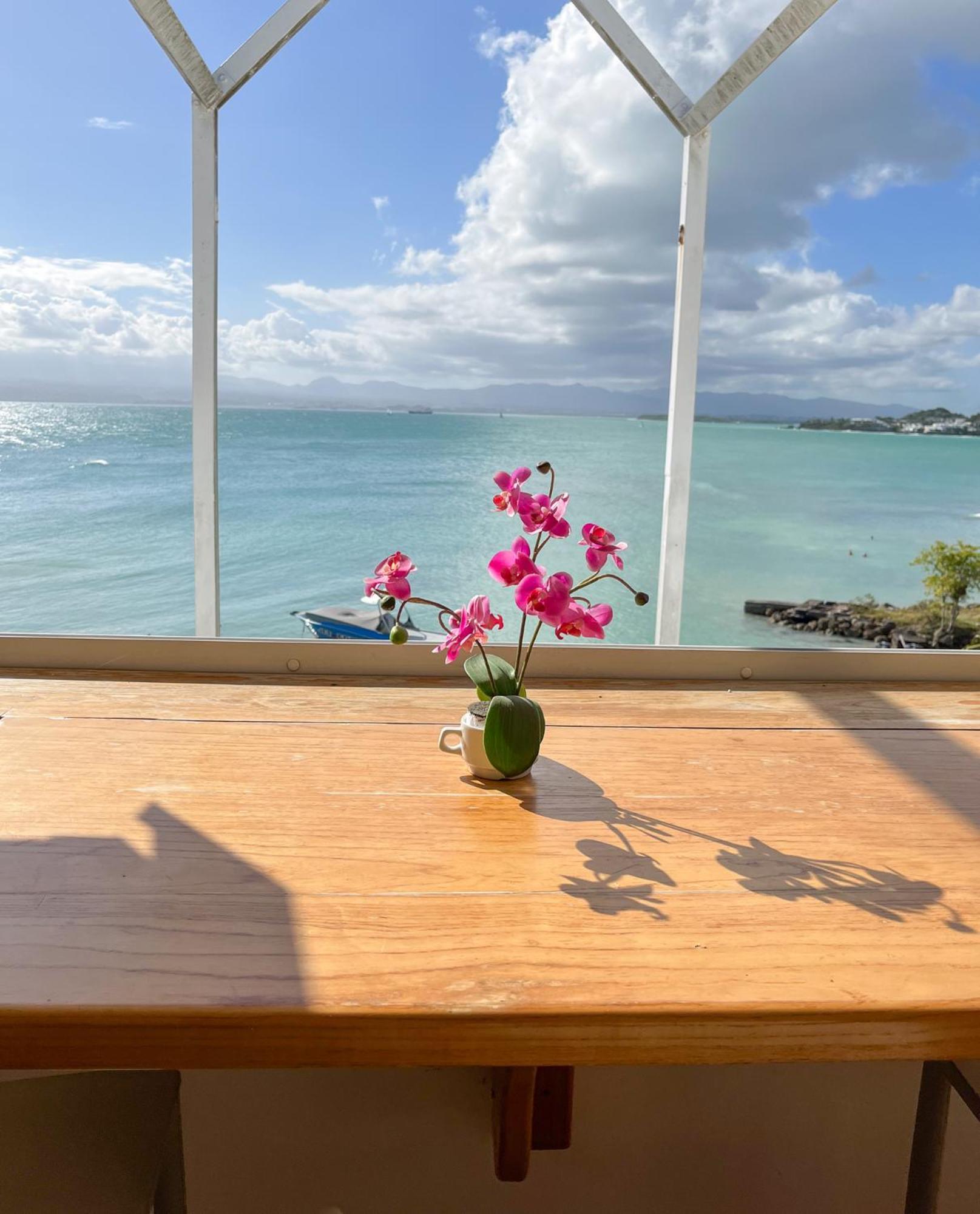 Appartement Les Yuccas, Vue Sur La Mer Et Les Montagnes Le Gosier  Bagian luar foto
